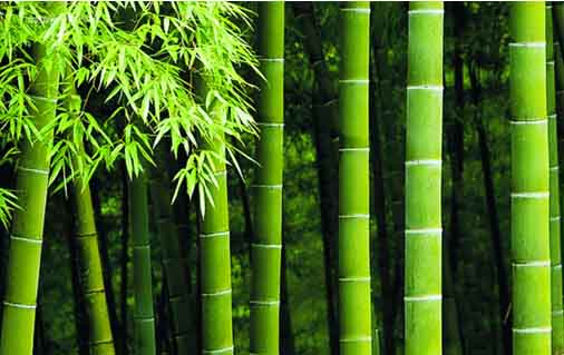 ��Ԋ���¹񣺭h(hu��n)���cƷ�|�p���T�󡱴������ۺû鷿