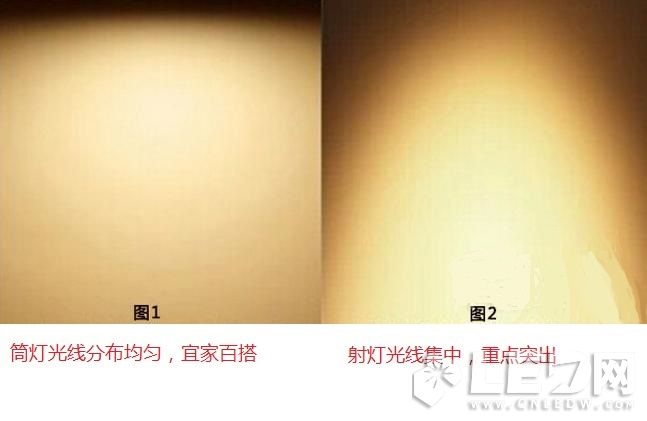 ���գ�LED�����LEDͲ�� ɵɵ�ֲ�����