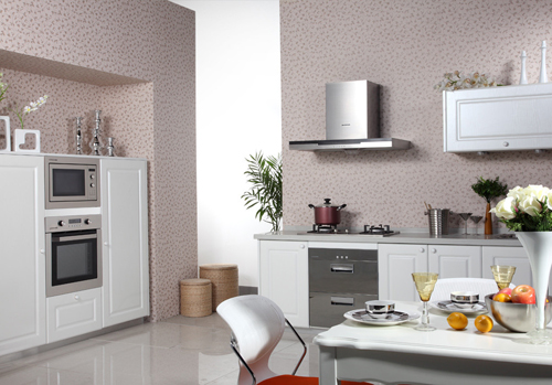 �o��ăr�񸂠�Ӱ푏N��ИI(y��)���w�l(f��)չ