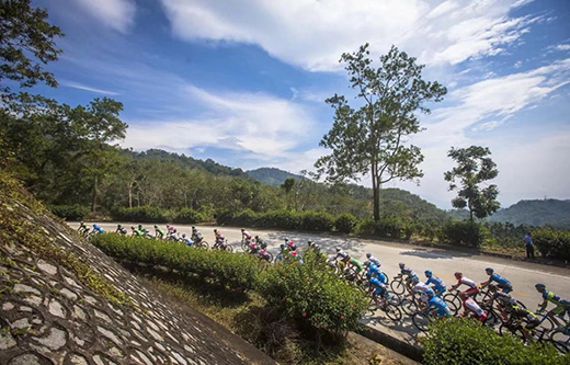 �����T-����Ԋ��Ʒ�N������h(hu��n)��������܇�T��