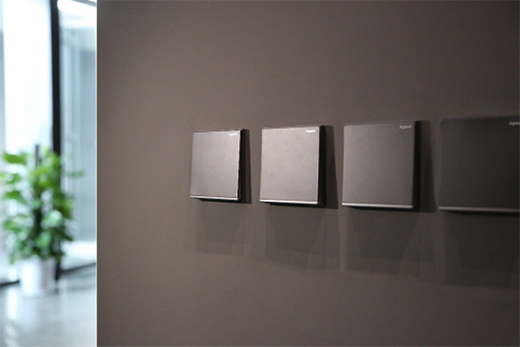 2022�������W�����^�x���_�����_�P�����;C�ϲ���