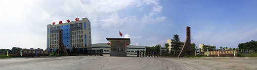 �A��ľ�I(y��)���Ʒ�ƠI�N�ƏV�M����