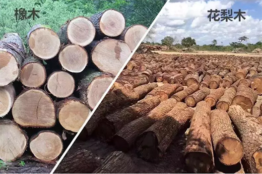 ���Ї�ʮ��Ҿ�����Ʒ�ơ���ʿ�������������