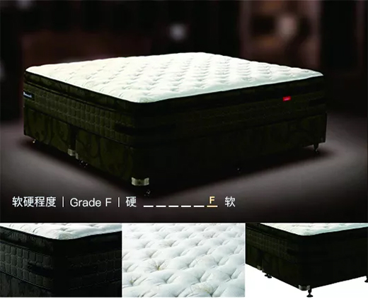 ���Ї�(gu��)ʮ��Ʒ�ơ��z�i���|���Ƽ����I(l��ng) ��Ȼо��