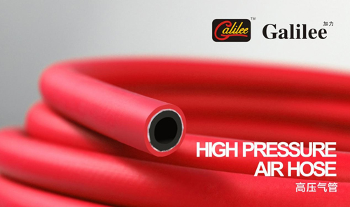 ���ĸ�����͹�@ �|��ܘI(y��)Ʒ��DNA��λ�ИI(y��)�߶�