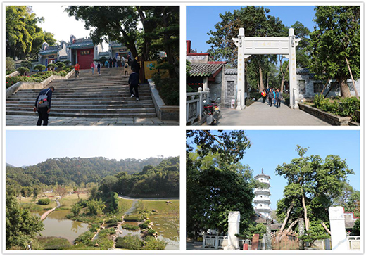 ���Y�Ó����ж�֮�� ӭ�L����