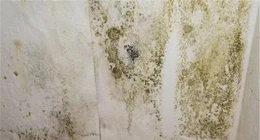 ��Ϳؐ���۾��п����־�����������Ч���ͽ����Ⱦ����