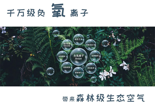 ؓ�x�ӿ՚�����������Ճ��I(l��ng)��ĺ���