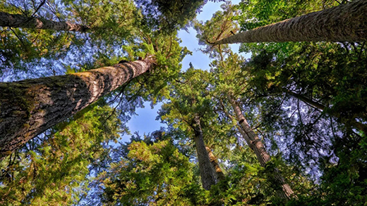 �ϳ��ذ壺��4K�Ƽ� �QҊԭľ֮��