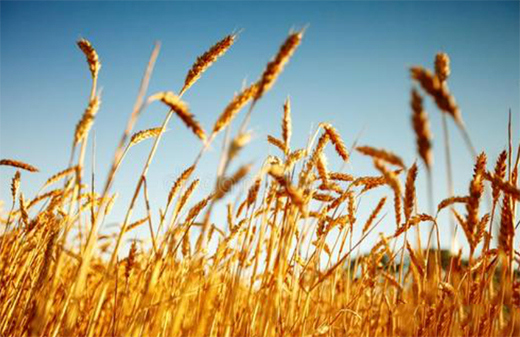 �A��(d��ng)���|24��(ji��)��������������ϲ�g�Ġ�B(t��i)��С�M���A�M!