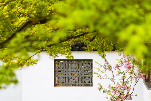 ���������������ڿ���Ҋ�L���ĚW�����T����