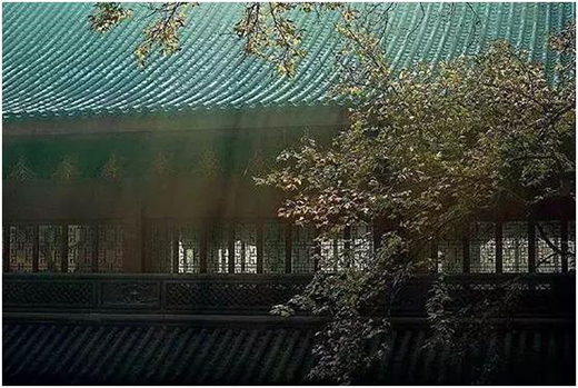 �����T���˴�(y��u)�����͞顰�Y������!