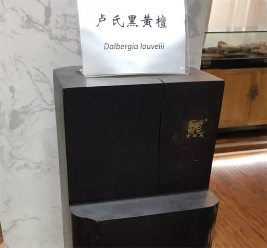 ���ϼtľ������t��֦����ľ�ĳ���tɫ����t��֦һ�㎧���ζ