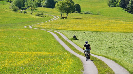 �Ŀ�ʿ�������ù���쮐���L(f��ng)�� �I(l��ng)�Ԅe�ӹ�Ӱ���W(xu��)