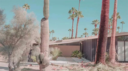 ���S�T�I(y��)�����x�T�c��ȻƷ�|(zh��)