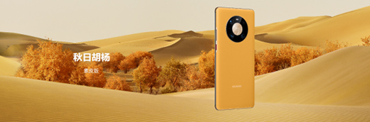 �A��Mate40ϵ����Ʒ�l(f��)��ʢ�������@Щ���c(di��n)��ע�⵽�ˆ�?