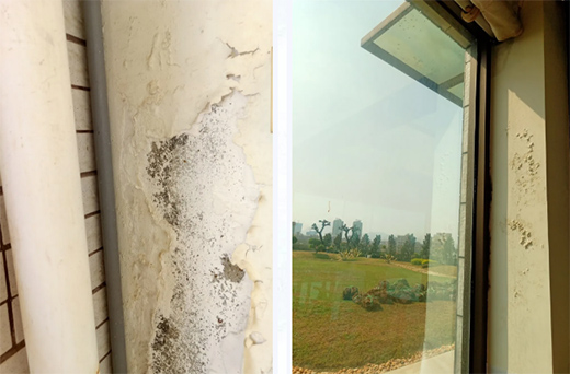 ���쉦�������������Ї�ʮ��Ϳ��Ʒ�ơ����Ƴ���_�N�l(w��i)������