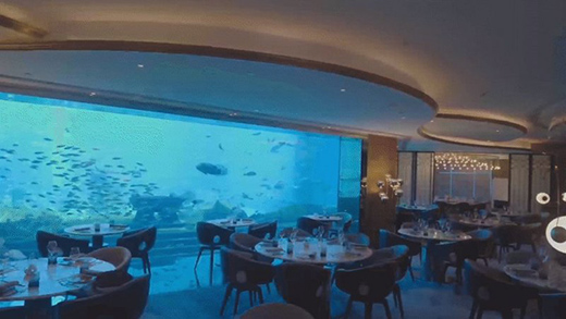 ���L����������δ��!2021�_���ʠI�N���h��������