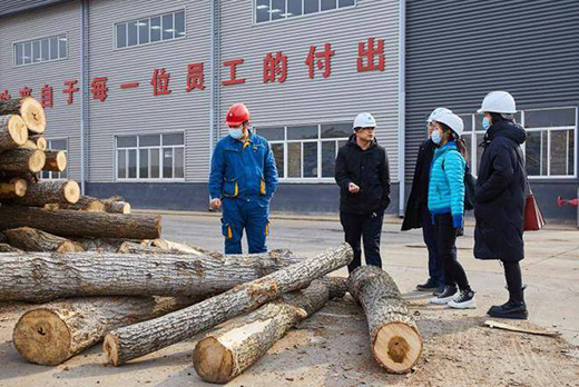 ���ȩ����ԭľ�Y(ji��)��(g��u)�塪�������m(x��)���h(hu��n)���wϵ�M(j��n)��Փ