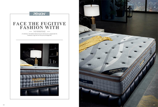 PEAKINƷ�� ���҂����^���L�������q��