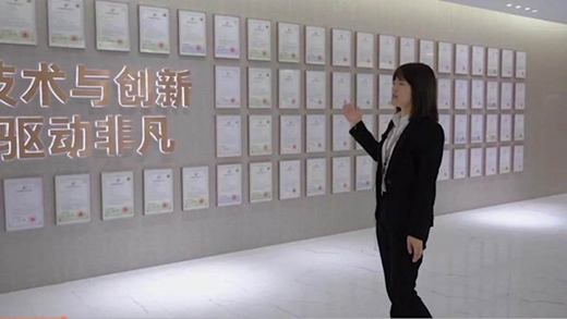 �Ї�ʮ��Ʒ�Ƶ�픽������ֱ���� ���չ�!