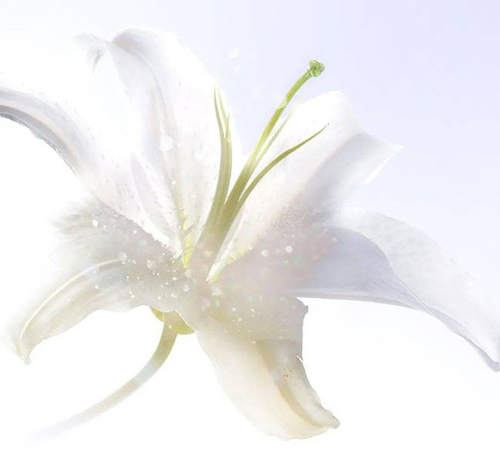 ѩ����ح������s����ğ��ס��y�����ѵǈ�