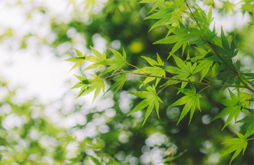 �A����ģ�����¹��� ����һ���ļ�