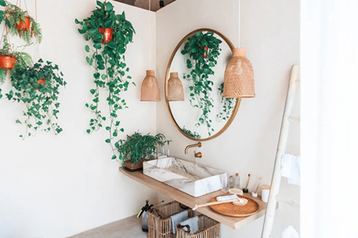 Ľ��ľ�T������ԭ��������Ȼ�ė�Ϣ