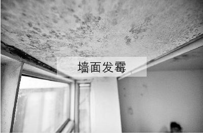 ��(gu��)����(d��ng)?sh��)�����ʿ���졪����ʿSOK�����Ʒ�|(zh��)���bͿ��