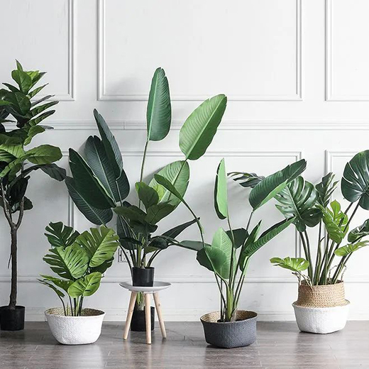 ��������Ļ��ϵ�е�������i�ҵĸ��ֵ!