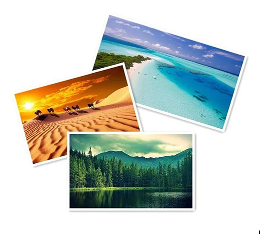 NEW ���c��Ȼ���������c�����N����Ȼ�΃�֮��