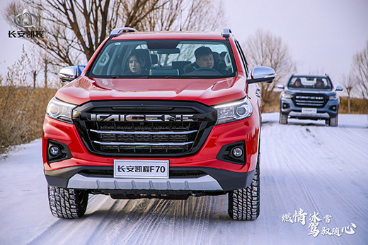 ��ȼ���ѩ �{�S�S�ġ��L���P��F70��푱�ѩ�P��