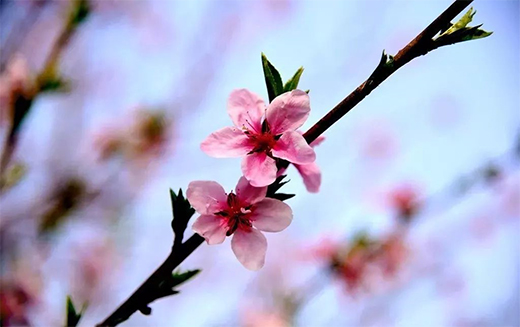 �������T(m��n)�I(y��)ح����է��(d��ng)���f(w��n)�����C(j��)��Ȼ