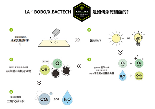 �����¡������� | LA��BOBO��������������{�o(h��)��