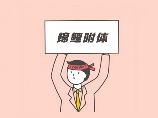 �����l(w��i)������Щ�����\���w�|?���������