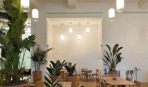 Artemide | �����_�������c���ķՇ����ں�