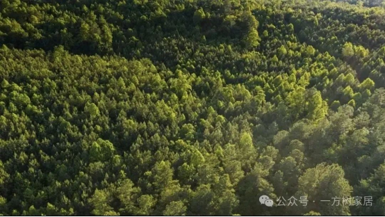 һ������Ľ���ح�����Ȧ���P(gu��n)�I�ܴa